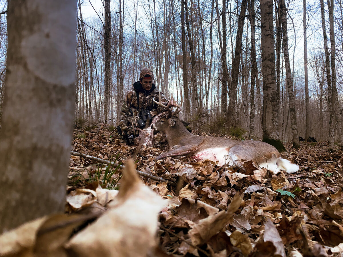 Upland bird hunting